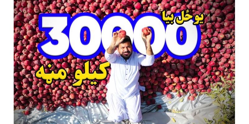 This year again, thirty thousand kilos of apples were produced